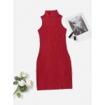 Turtleneck Ribbed Knit Dress