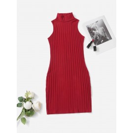 Turtleneck Ribbed Knit Dress