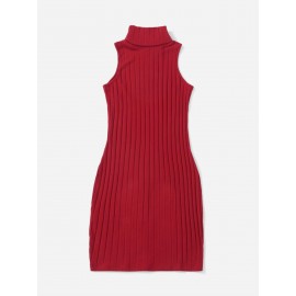 Turtleneck Ribbed Knit Dress