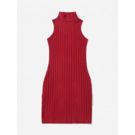 Turtleneck Ribbed Knit Dress